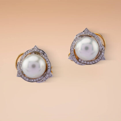 A rose from south aisa